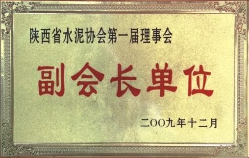 陜西省水泥協會第一屆理事會副會長單位